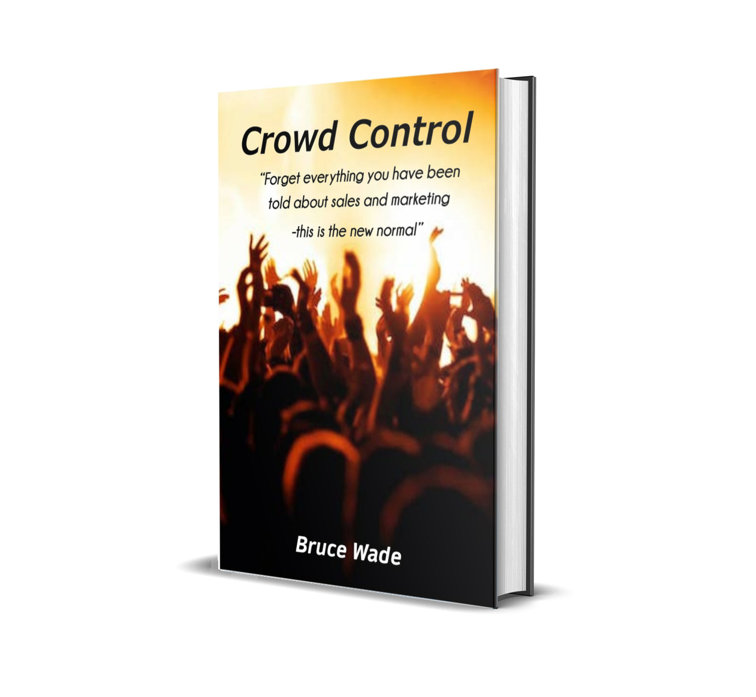 Controlling crowds